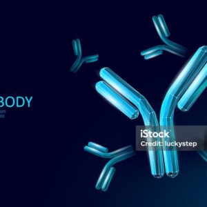 immunoglobulines